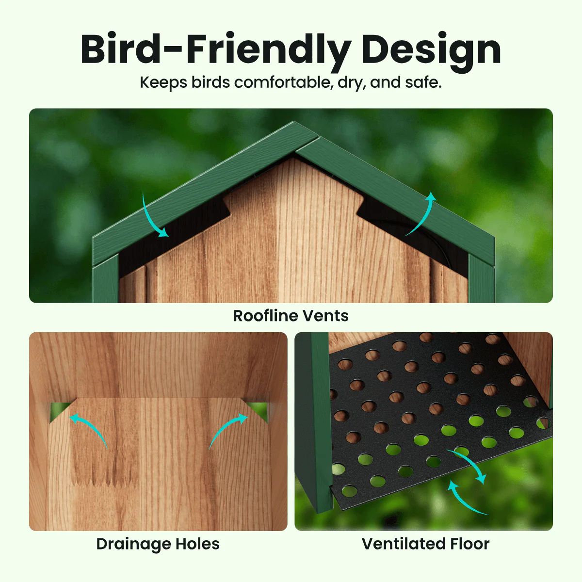 Birdfy Nest Cedar - Smart Bird House with Camera - Image 4