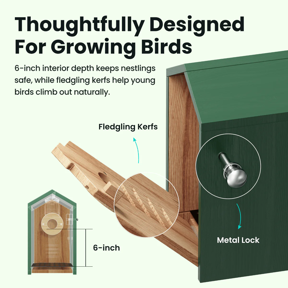 Birdfy Nest Cedar - Smart Bird House with Camera - Image 5