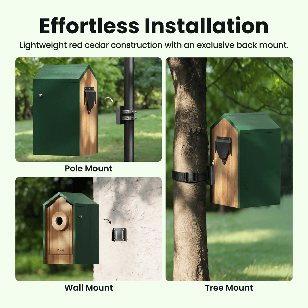 Birdfy Nest Cedar - Smart Bird House with Camera - Image 6