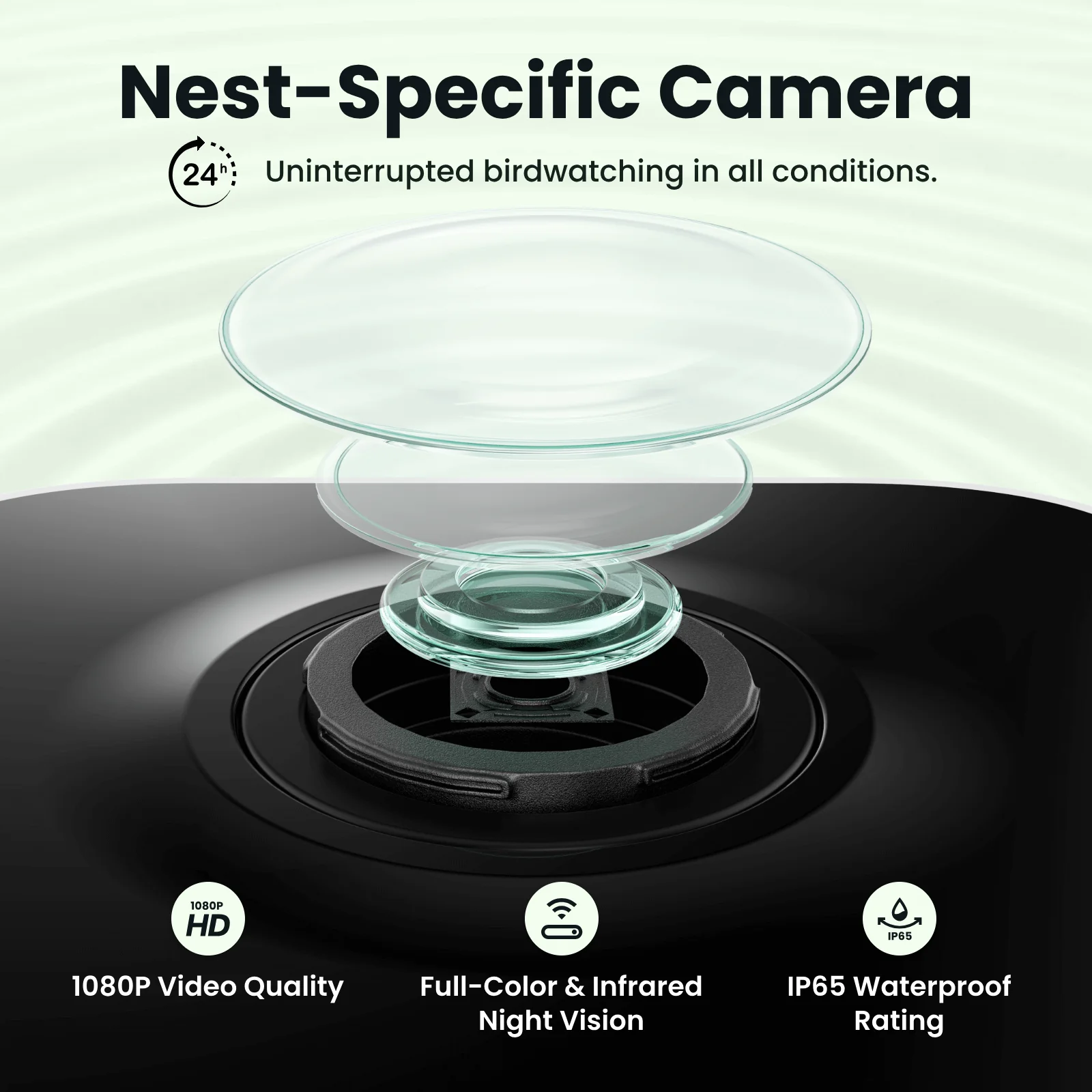 Birdfy Nest Cedar - Smart Bird House with Camera - Image 7