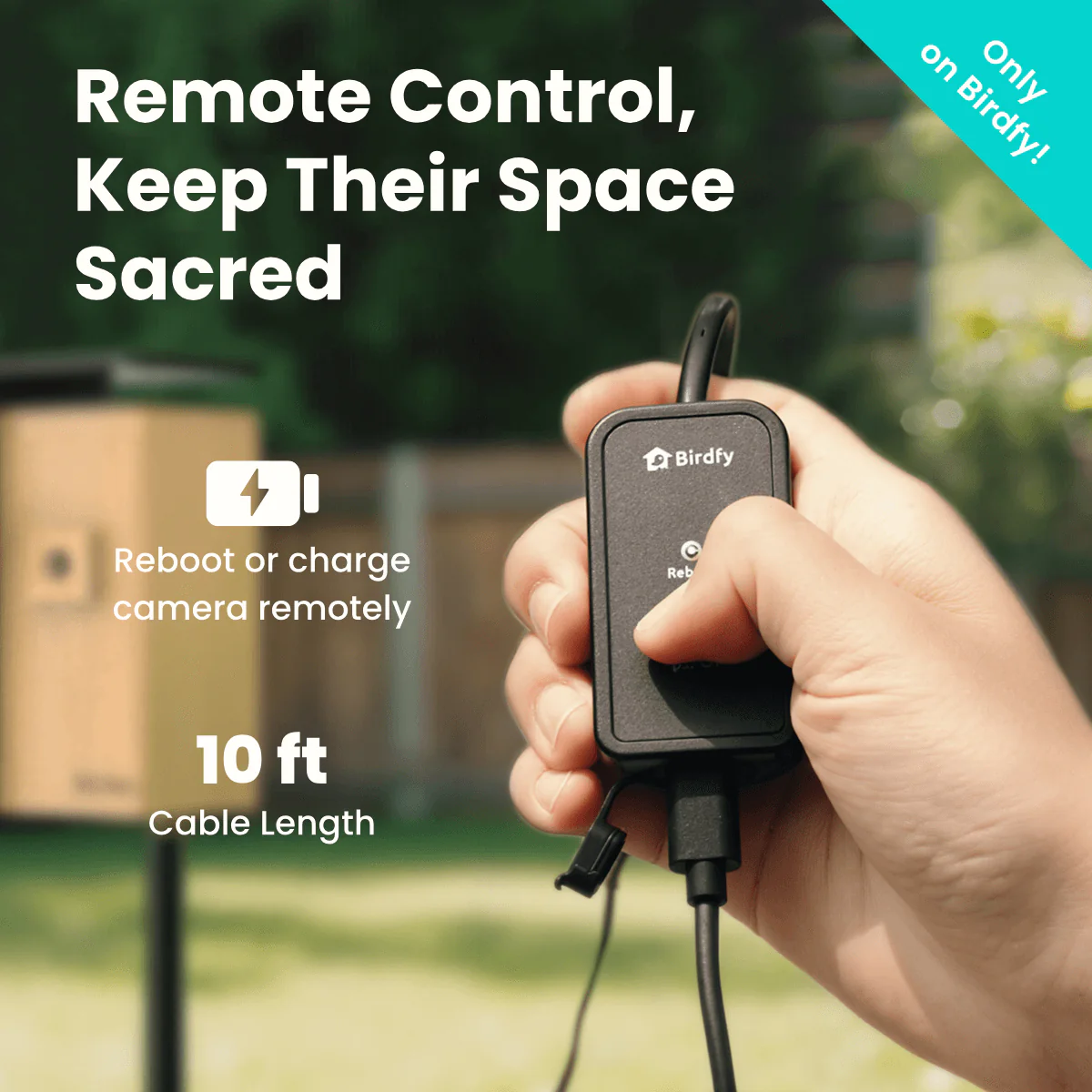 Birdfy Nest Duo - Smart Bird House with Dual Cameras - Image 6