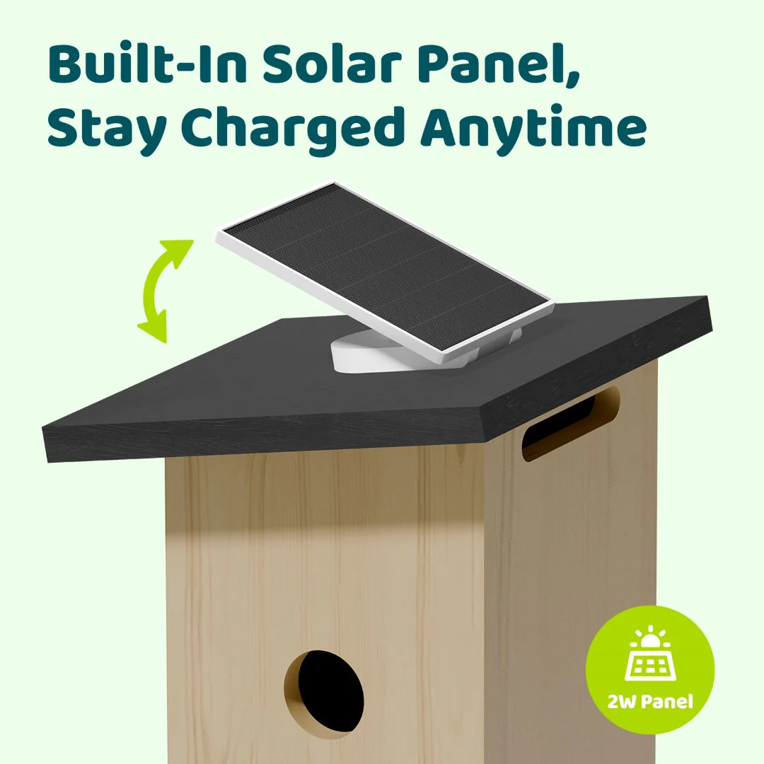 Birdfy Nest Ebony - Wooden Smart Birdhouse - Image 6