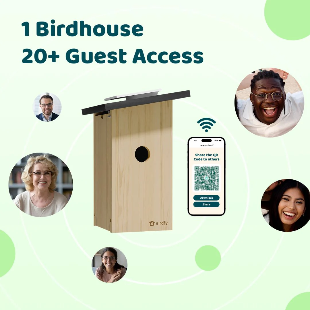 Birdfy Nest Ebony - Wooden Smart Birdhouse - Image 9