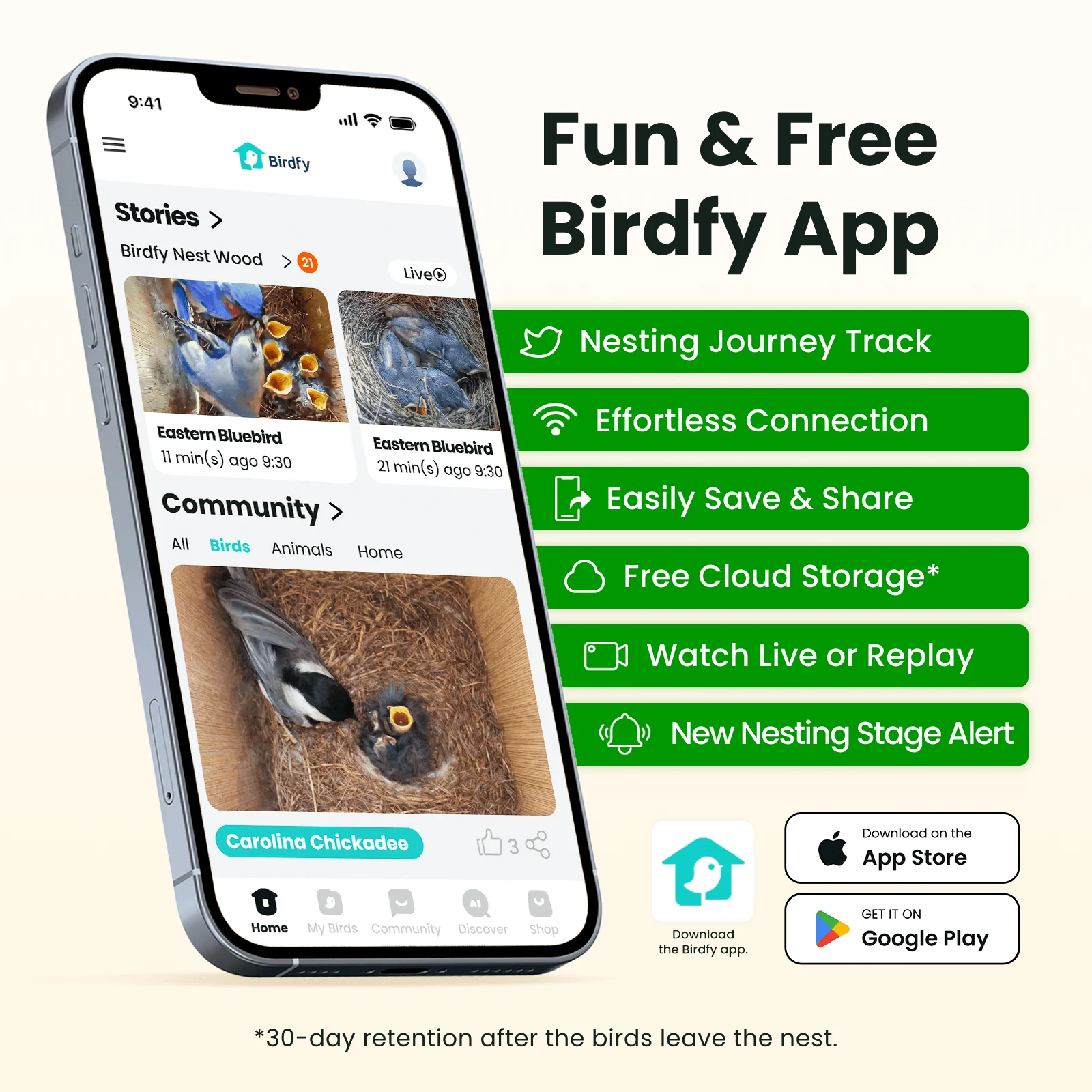 Birdfy Nest Wood - Wooden Smart Birdhouse with Camera - Image 6