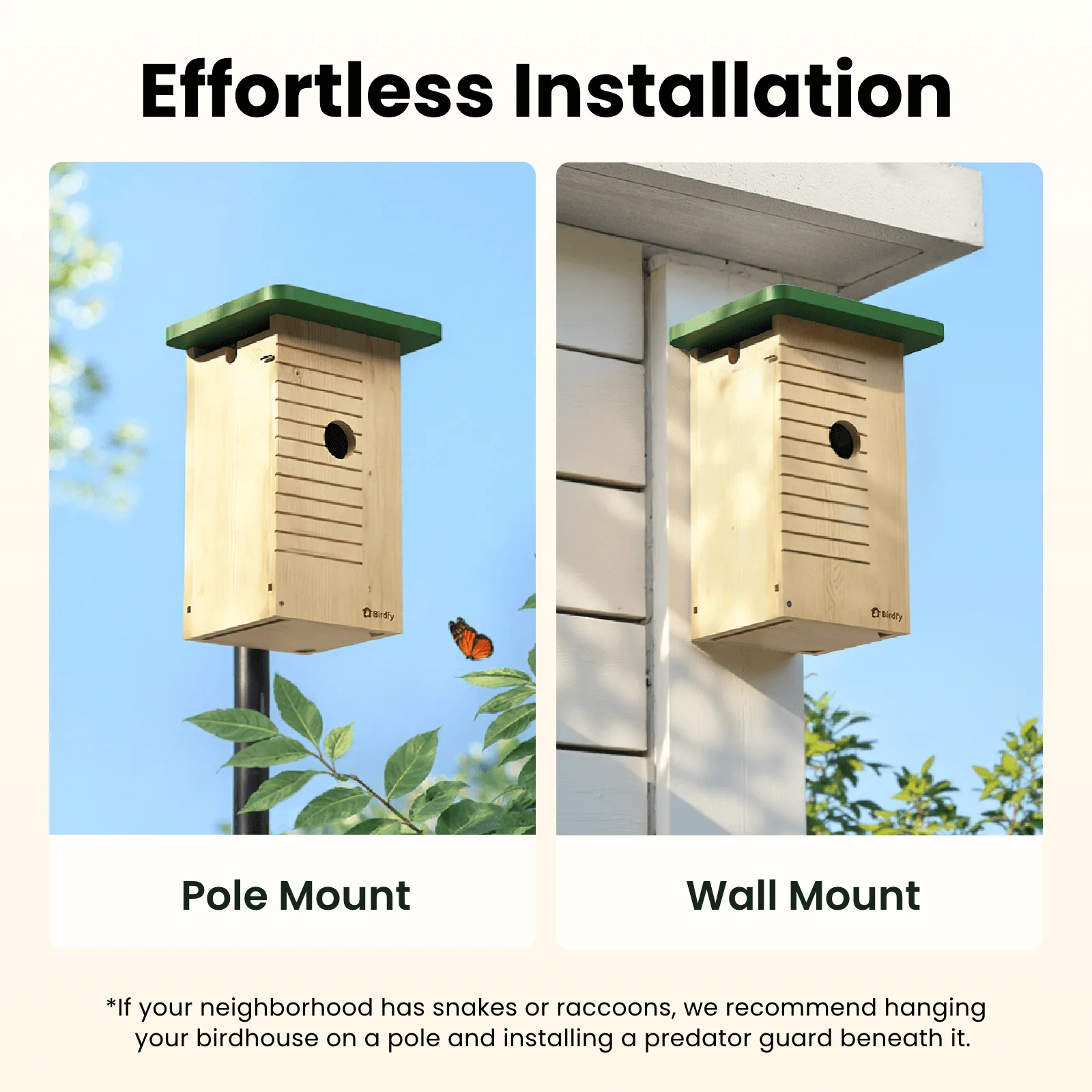 Birdfy Nest Wood - Wooden Smart Birdhouse with Camera - Image 9