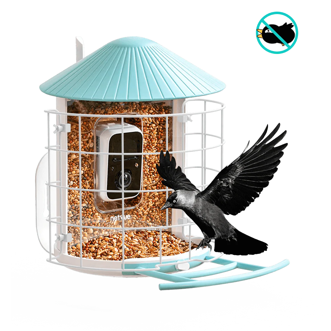 Birdfy Shield - Bird Feeder Shield - Image 3