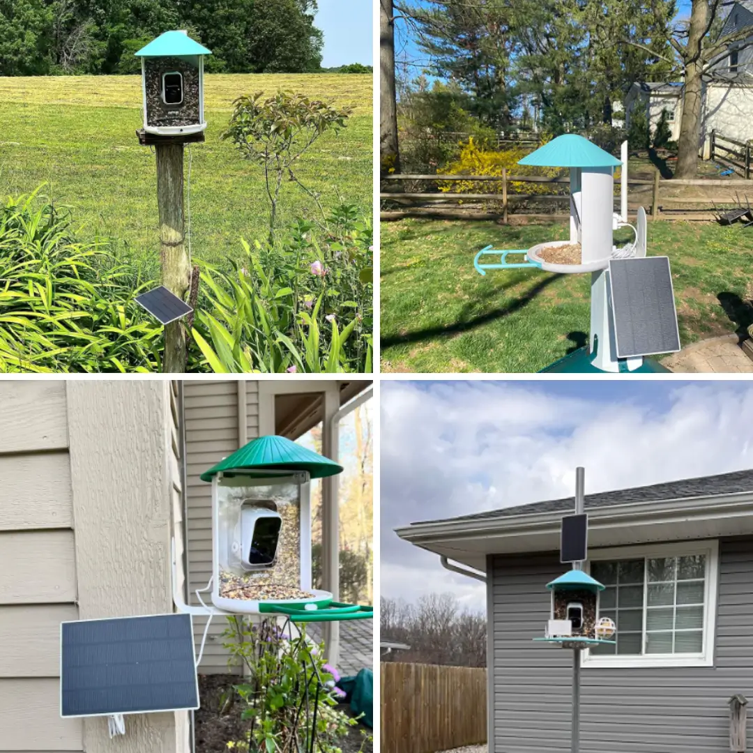 Birdfy Solar Panel (Type C) - Bird Feeder Camera Solar Panel - Image 3