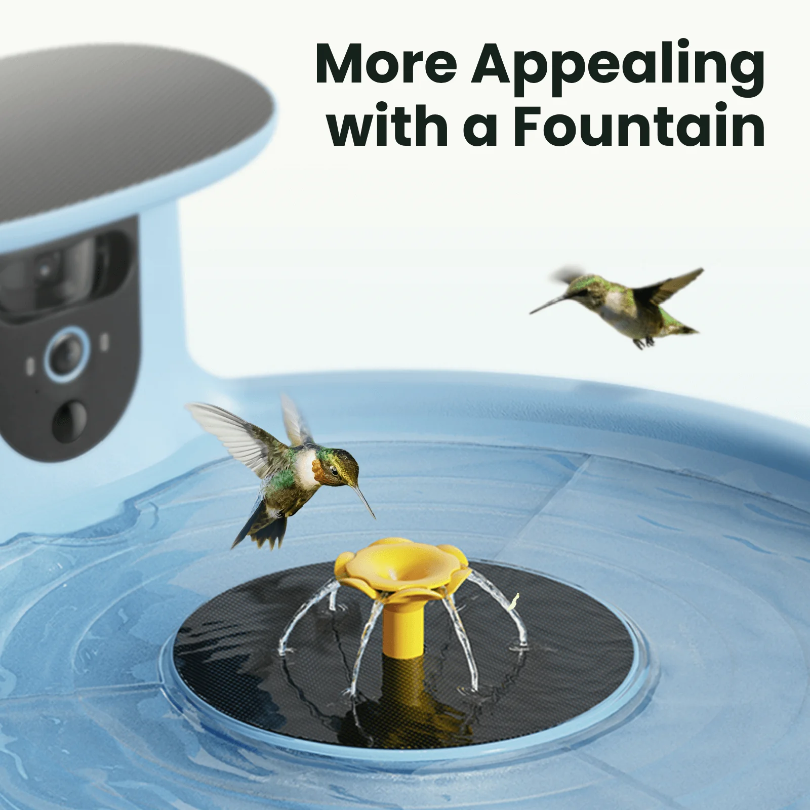 Hum Bathing Set for Birdfy Bath Pro - Hummingbird & Small Bird Bathing Plates - Image 2